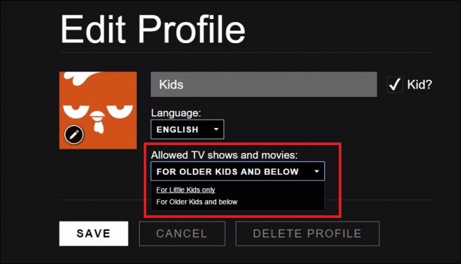 configure netflix parental control