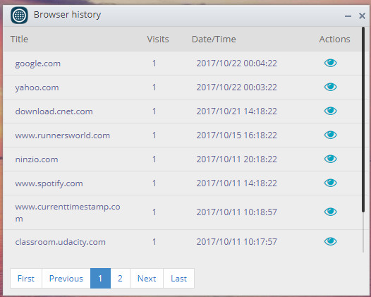 Track Internet Browsing History - UnderSpy